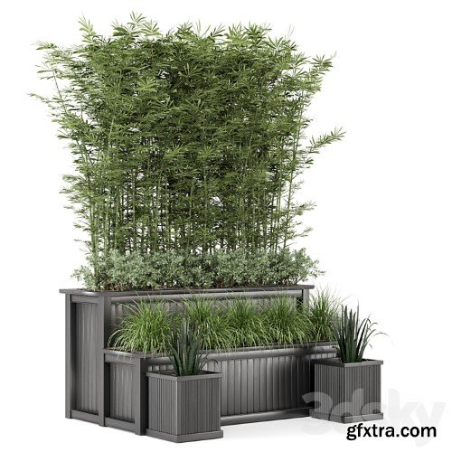 3dsky Pro - Outdoor Plants Bamboo and bush in Wooden Pot -Set 195
