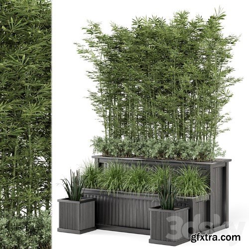 3dsky Pro - Outdoor Plants Bamboo and bush in Wooden Pot -Set 195