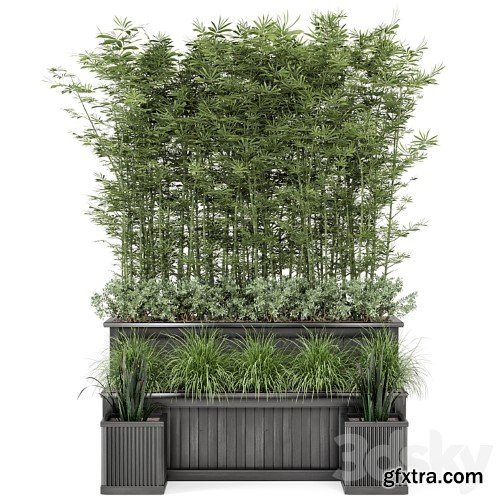 3dsky Pro - Outdoor Plants Bamboo and bush in Wooden Pot -Set 195