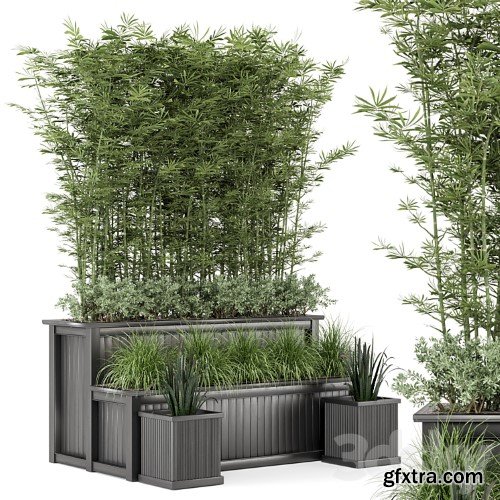 3dsky Pro - Outdoor Plants Bamboo and bush in Wooden Pot -Set 195