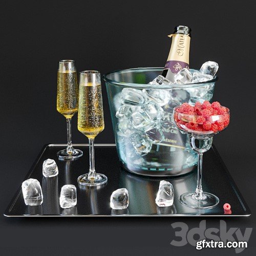 3dsky Pro - A bottle of champagne on a tray with ice and raspberries.