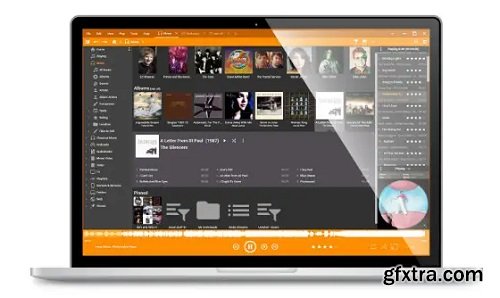 MediaMonkey Gold 2024.1.0.3113