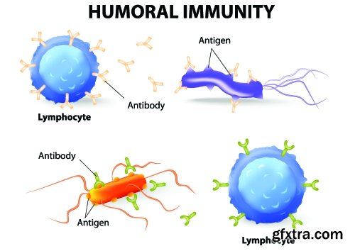 Science Infographics 25xEPS