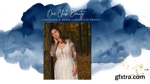 Finding North Education - One Click Beauty Preset for Lightroom & ACR