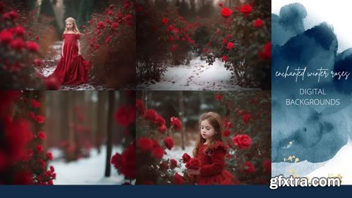 Finding North Education - Enchanted Winter Roses Digital Backgrounds