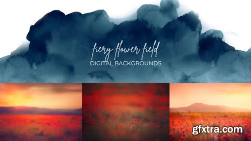 Finding North Education - Fiery Flower Field Digital Backgrounds