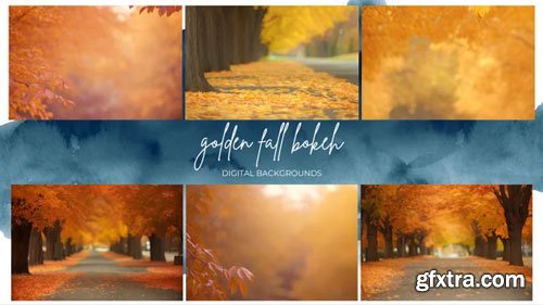 Finding North Education - Golden Fall Bokeh Digital Backgrounds