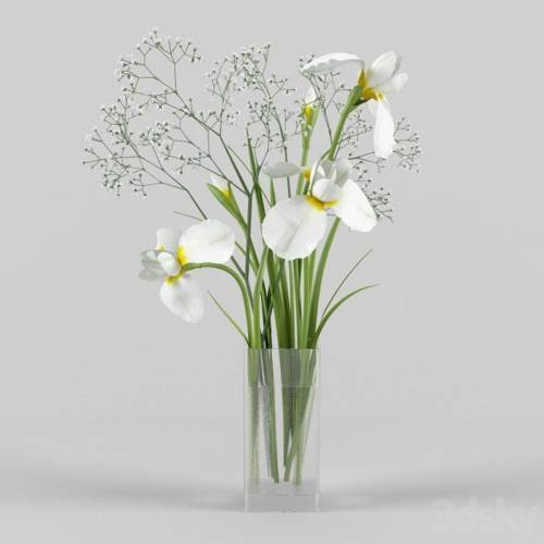 '3dsky Pro - Irises and gypsophila'