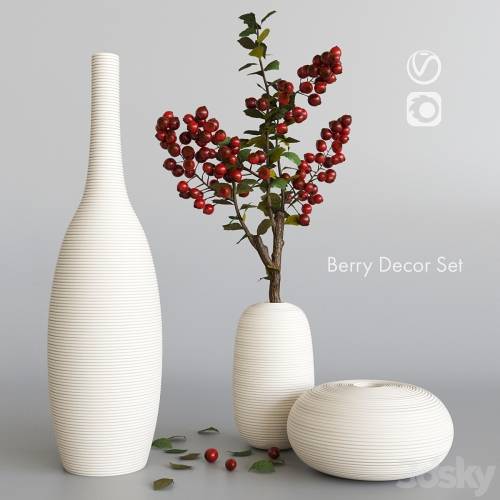 '3dsky Pro - Decorative set with berries'