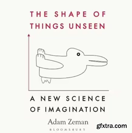 The Shape of Things Unseen: A New Science of Imagination