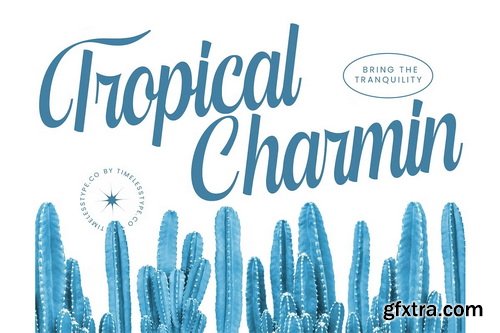 CreativeMarket - Kameli Antares Modern Calligraphy