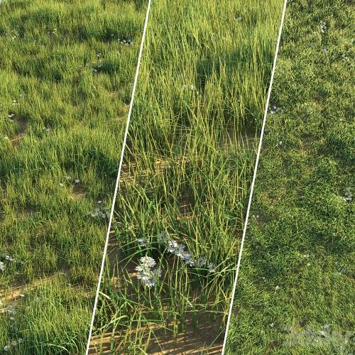 '3dsky Pro - Uncut grass lawn'