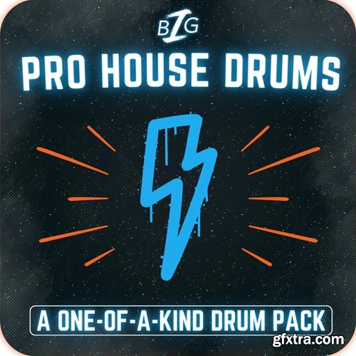 Big Z Sounds Big Z's Pro House Drums