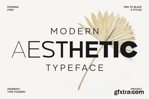 CreativeMarket - Pogonia - Modern Font Family