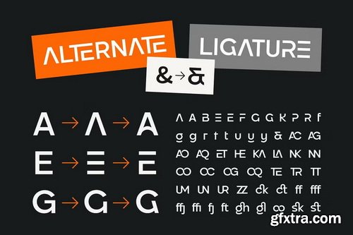 CreativeMarket - Pogonia - Modern Font Family