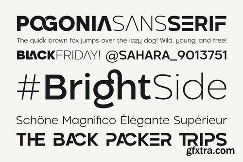 CreativeMarket - Pogonia - Modern Font Family