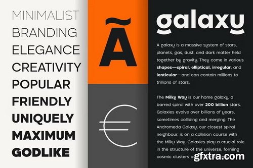 CreativeMarket - Pogonia - Modern Font Family