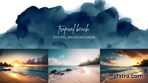 Finding North Education - Tropical Beach Digital Backgrounds