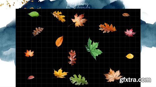 Finding North Education - Falling Leaves Digital Overlays