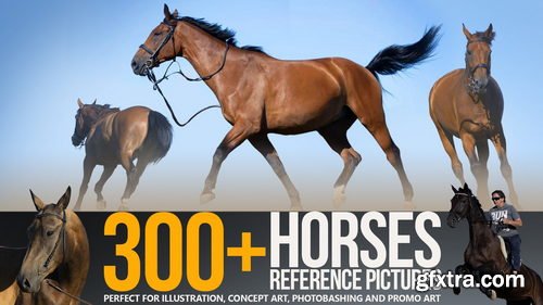 Artstation - 300+ Horses Reference Pictures