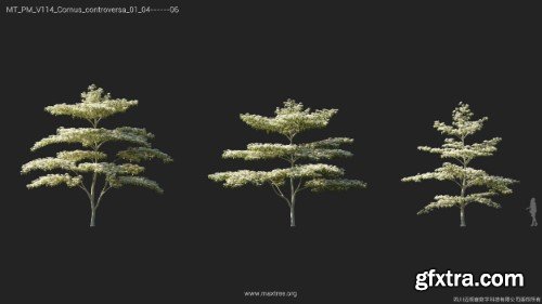 Maxtree - Plant Models Vol 114