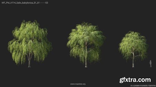 Maxtree - Plant Models Vol 114