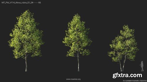 Maxtree - Plant Models Vol 114