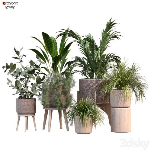 '3dsky Pro - plant in vase collection set 214' '3dsky Pro - plant in vase collection set 214'