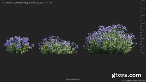 Maxtree - Plant Models Vol 112 Maxtree - Plant Models Vol 112