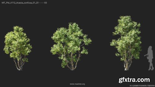 Maxtree - Plant Models Vol 112 Maxtree - Plant Models Vol 112