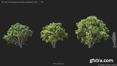 Maxtree - Plant Models Vol 112 Maxtree - Plant Models Vol 112