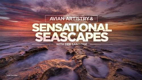 'KelbyOne - Avian Artistry & Sensational Seascapes'