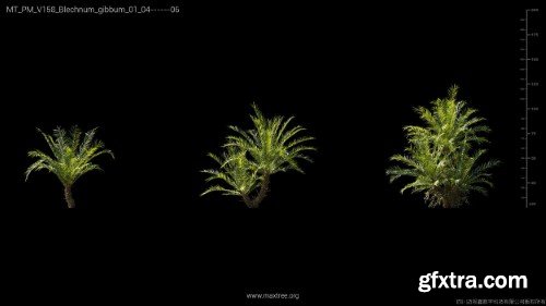 Maxtree - Plant Models Vol 158