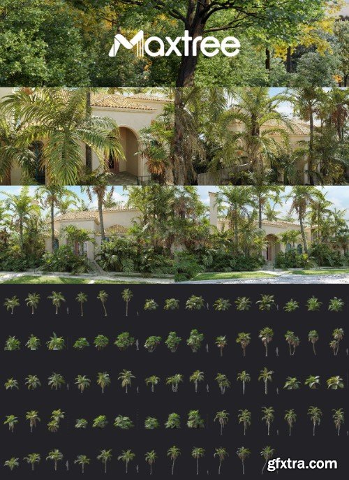 Maxtree - Plant Models Vol 159