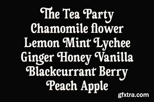 CreativeMarket - ED Tremaria - Retro Serif Font