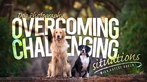 'KelbyOne - Dog Photography: Overcoming Challenging Situations'