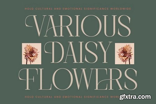 CreativeMarket - Barely Painter All Caps Serif Font