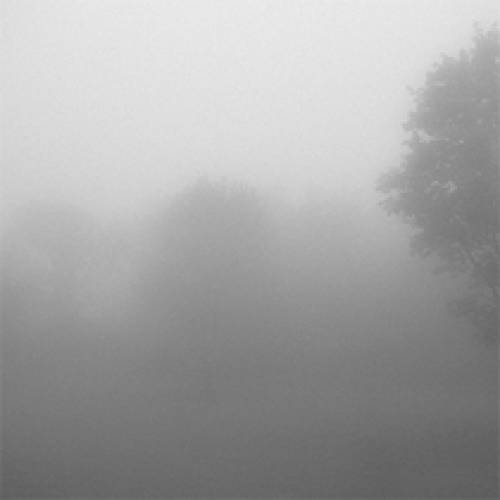 'Audiio - Forest Trek - Brilliant Sky'