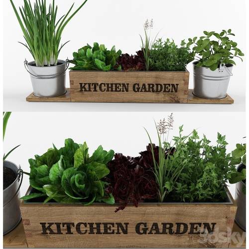 '3dsky Pro - Kitchen garden' '3dsky Pro - Kitchen garden'