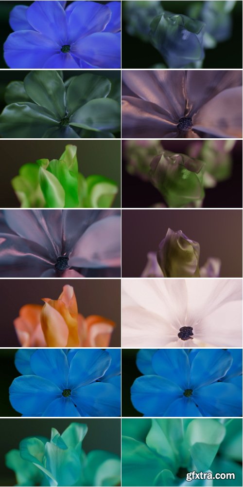 ArtList - Animated Blooming - 4K ProRes UHQ Collections