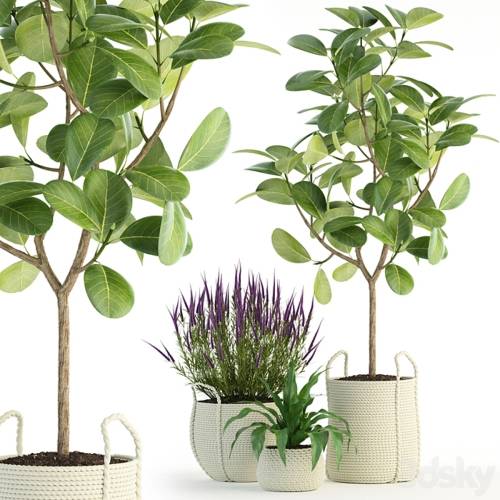 '3dsky Pro - Plants collection 87'