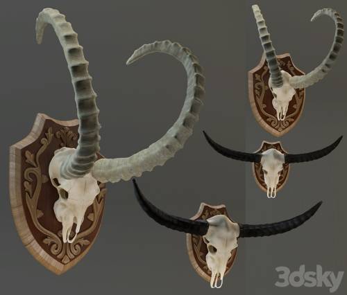 '3dsky Pro - The Horn Of Africa' '3dsky Pro - The Horn Of Africa'