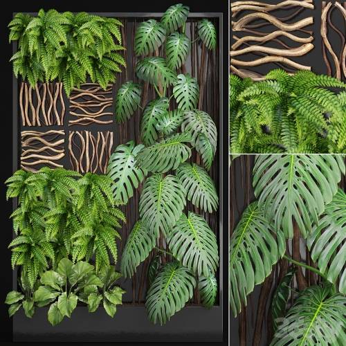 '3dsky Pro - Vertical garden 2. Vertical garden, phytowall, phytomodl, landscaping, green picture, bush, wall decor, branches, monstera, fern, alocasia, eco, eco decor, loft' '3dsky Pro - Vertical garden 2. Vertical garden, phytowall, phytomodl, landscaping, green picture, bush, wall decor, branches, monstera, fern, alocasia, eco, eco decor, loft'