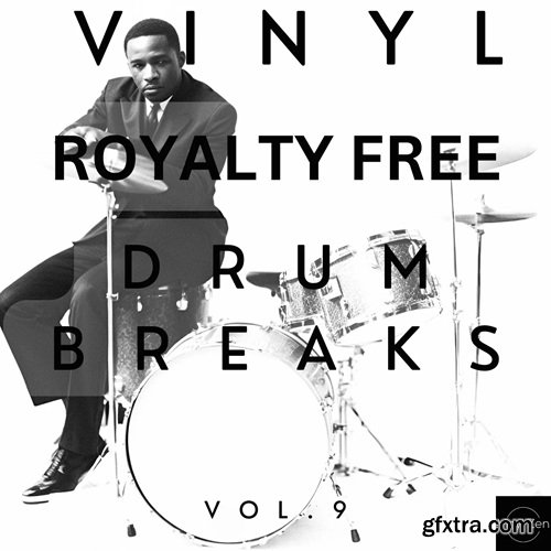 PastToFutureReverbs Vinyl Drum Breaks Vol 9 (22 Drum Breaks Perfectly Looped)