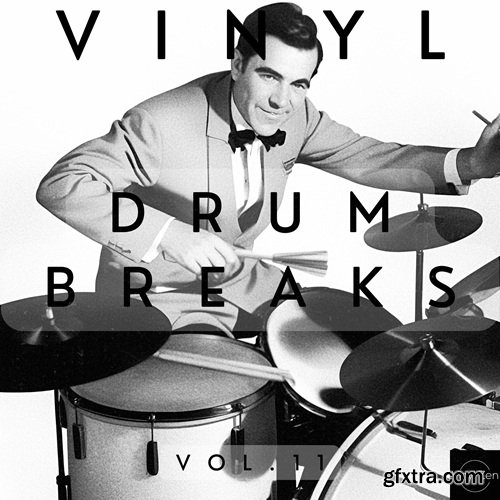 Vinyl Zen Vinyl Drum Breaks Vol 11 (22 Drum Breaks Perfectly Looped)