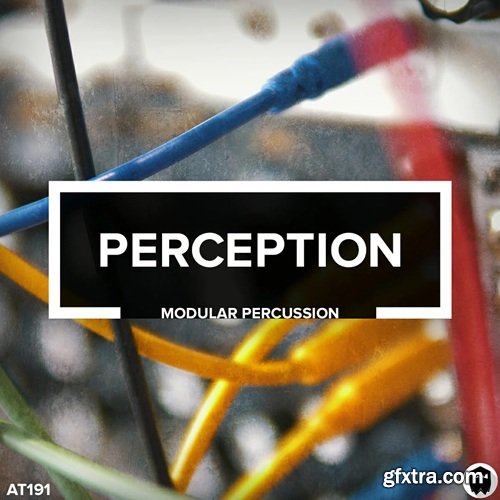 Audiotent Perception