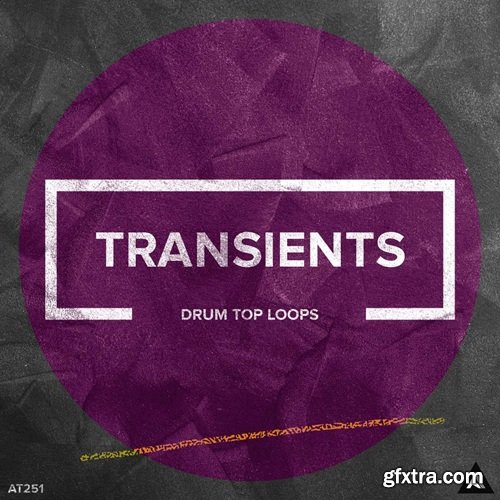 Audiotent Transients