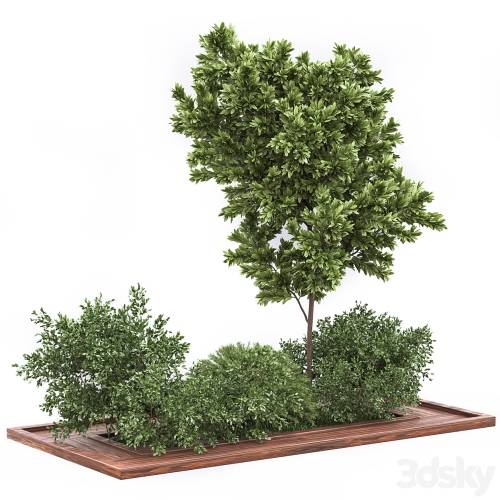 '3dsky Pro - Garden set bush and Tree_Set01' '3dsky Pro - Garden set bush and Tree_Set01'