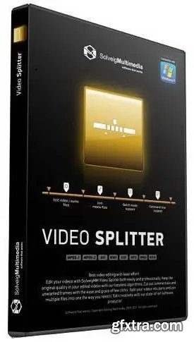 SolveigMM Video Splitter 8.2.2510.10 