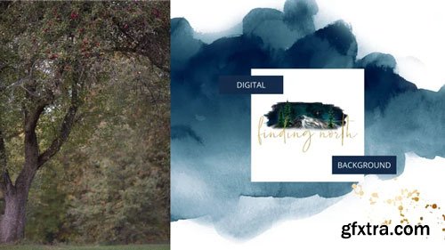 Finding North Education - Apple Tree Digital Background